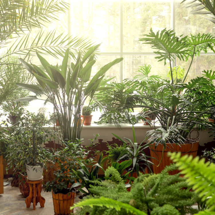 Plantes artificielles