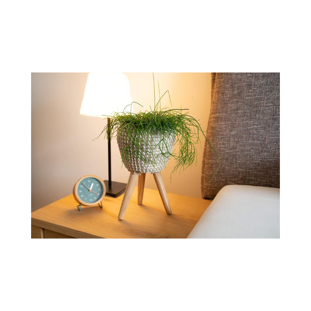 Pot de fleurs Decorasian avec support intégré – Cache-pot en jonc de mer tressé – Diamètre 20 cm