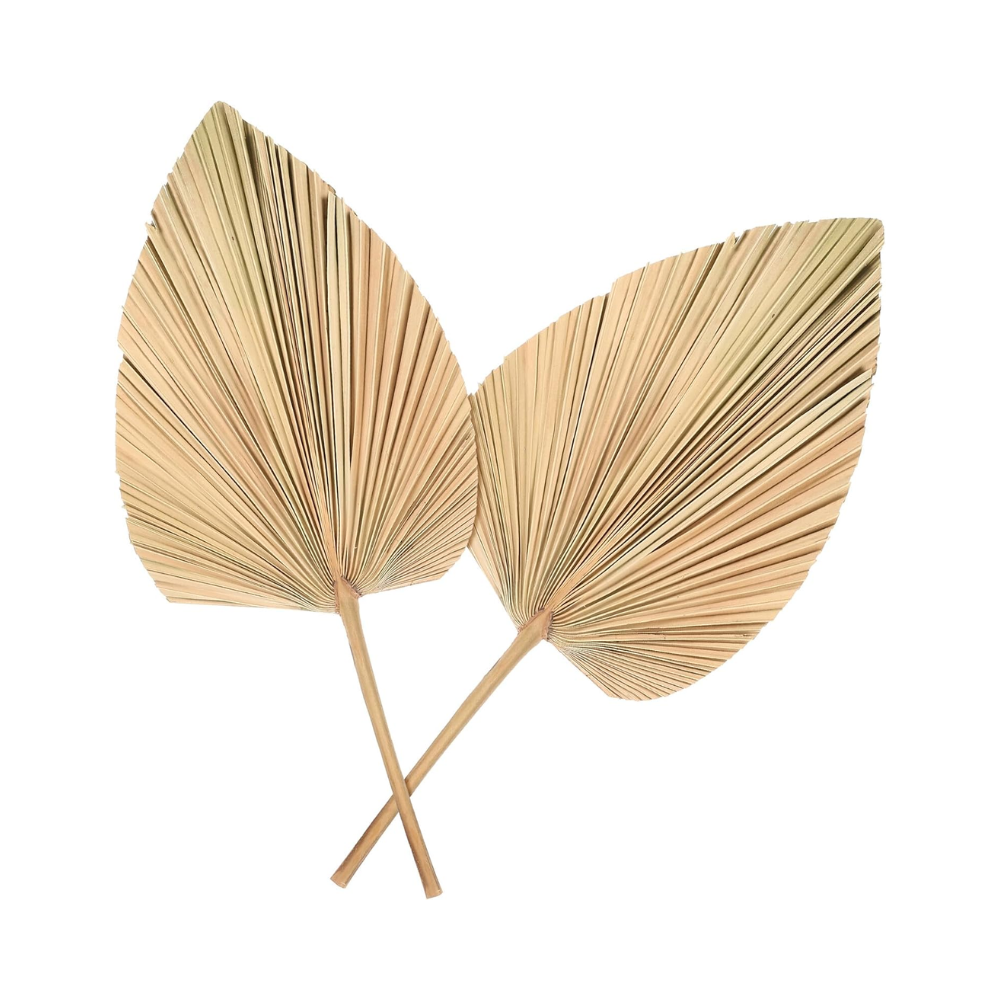 Lot de 2 Éventails en Feuilles de Palmier Séchées en Forme de Cœur