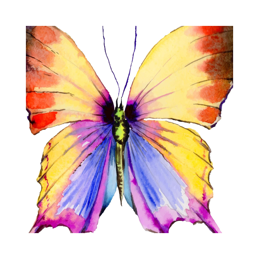 Ensemble de deux affiches – Papillons colorés style aquarelle – Format A3