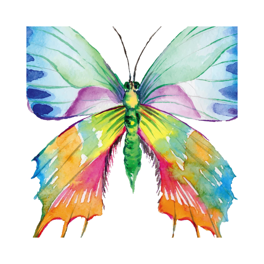 Ensemble de deux affiches – Papillons colorés style aquarelle – Format A3