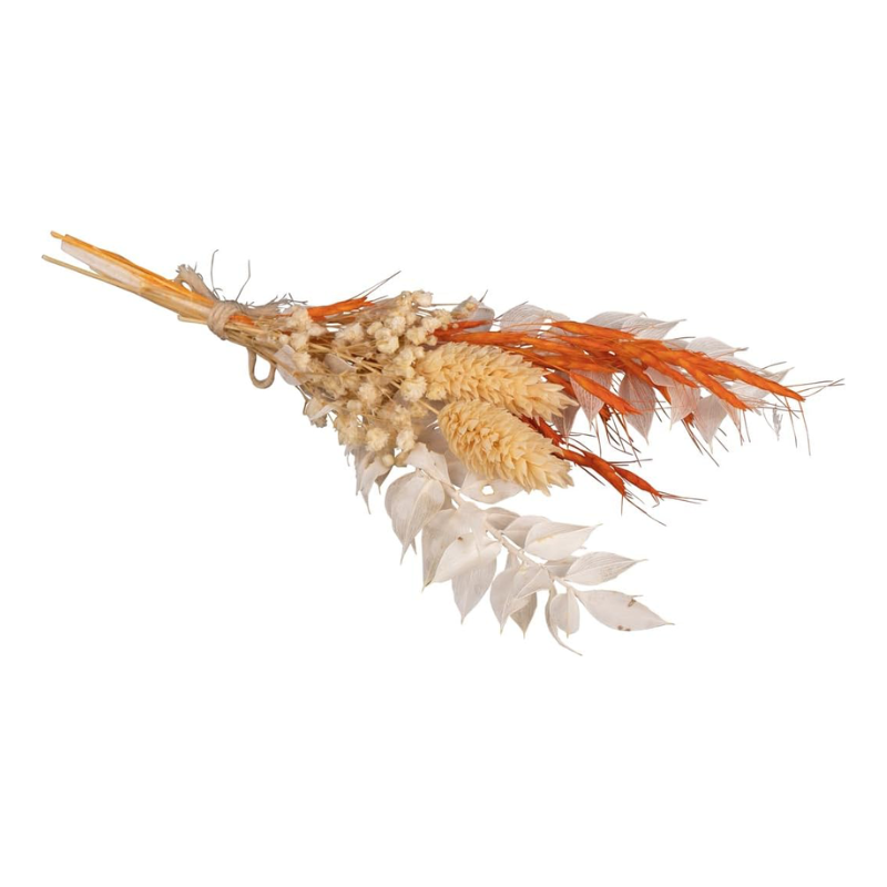 Bouquet fleurs séchées 18-20cm