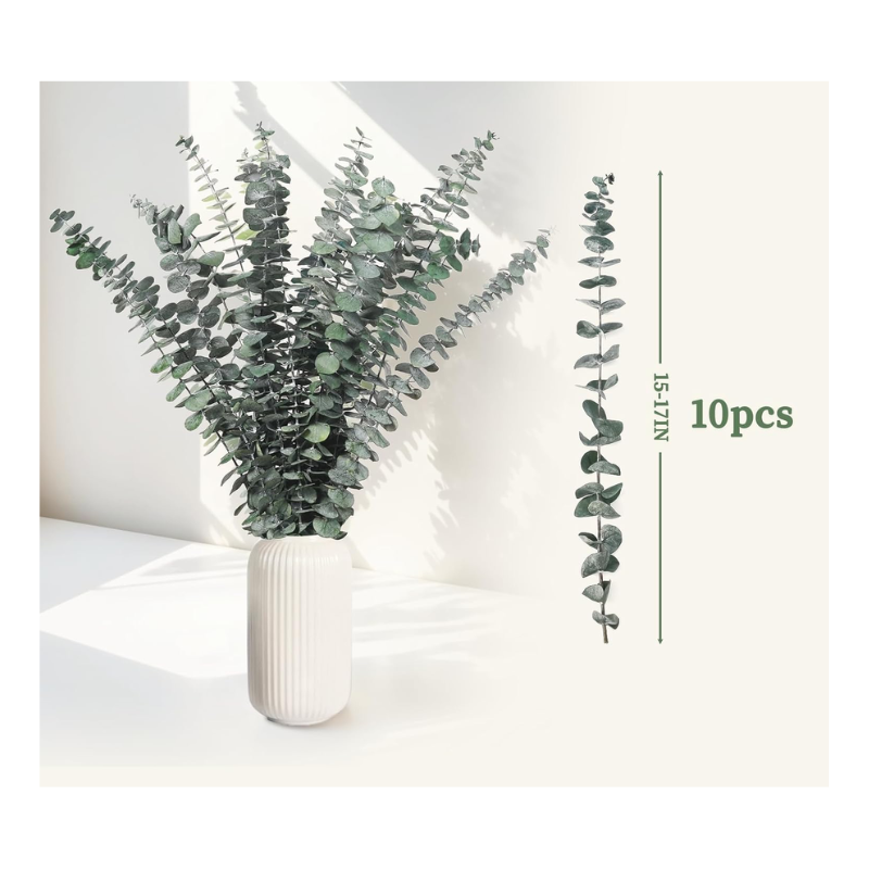 Bouquet branches Eucalyptus séchées