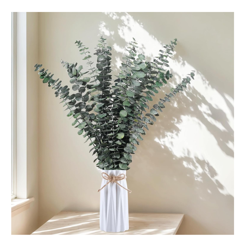 Bouquet branches Eucalyptus séchées