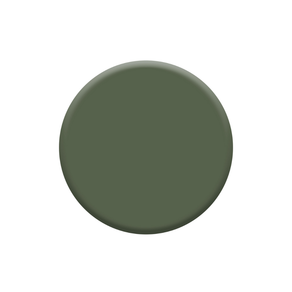 Peinture intérieure mat VERT TROPICAL - 2.5L DULUX