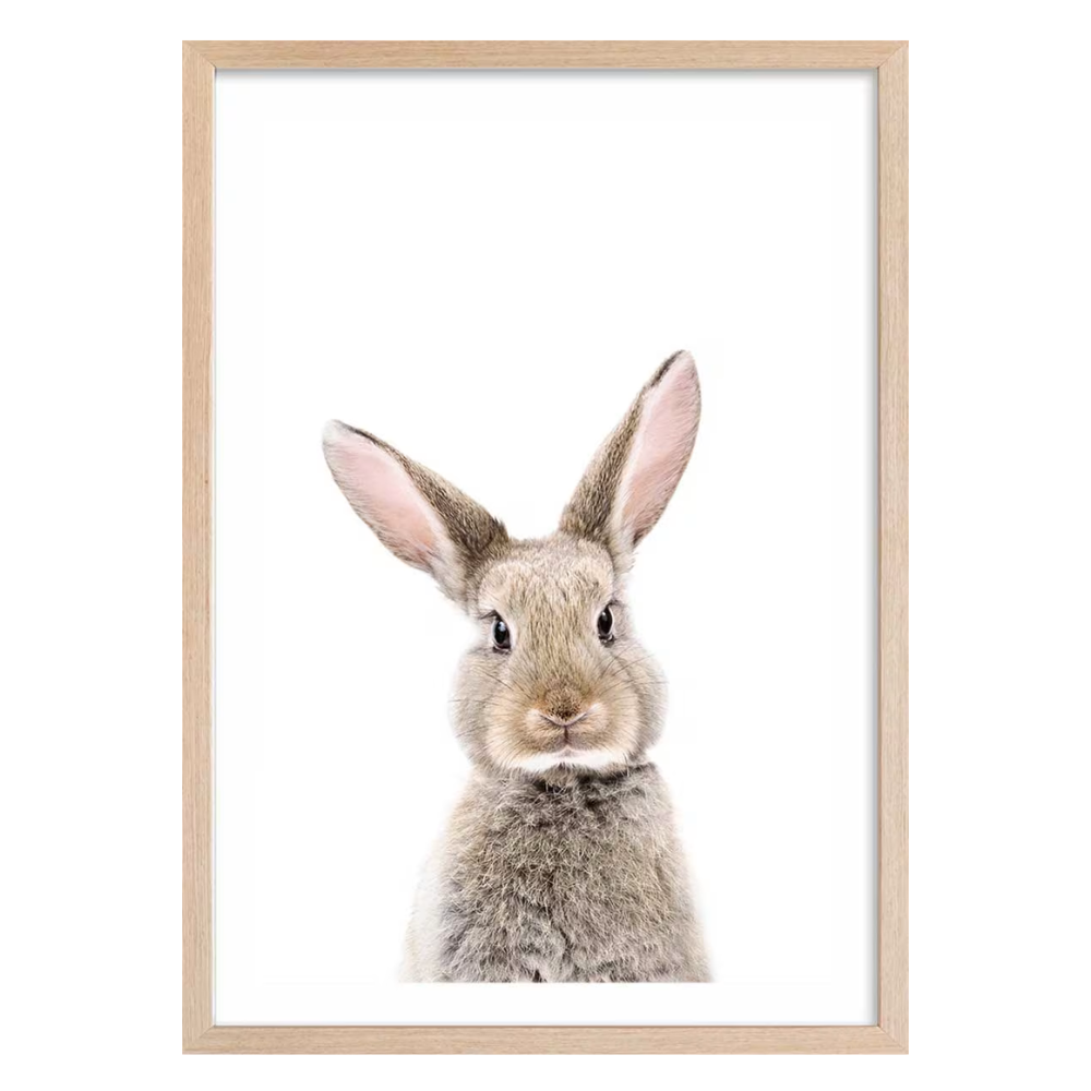Affiche lapin 60x40