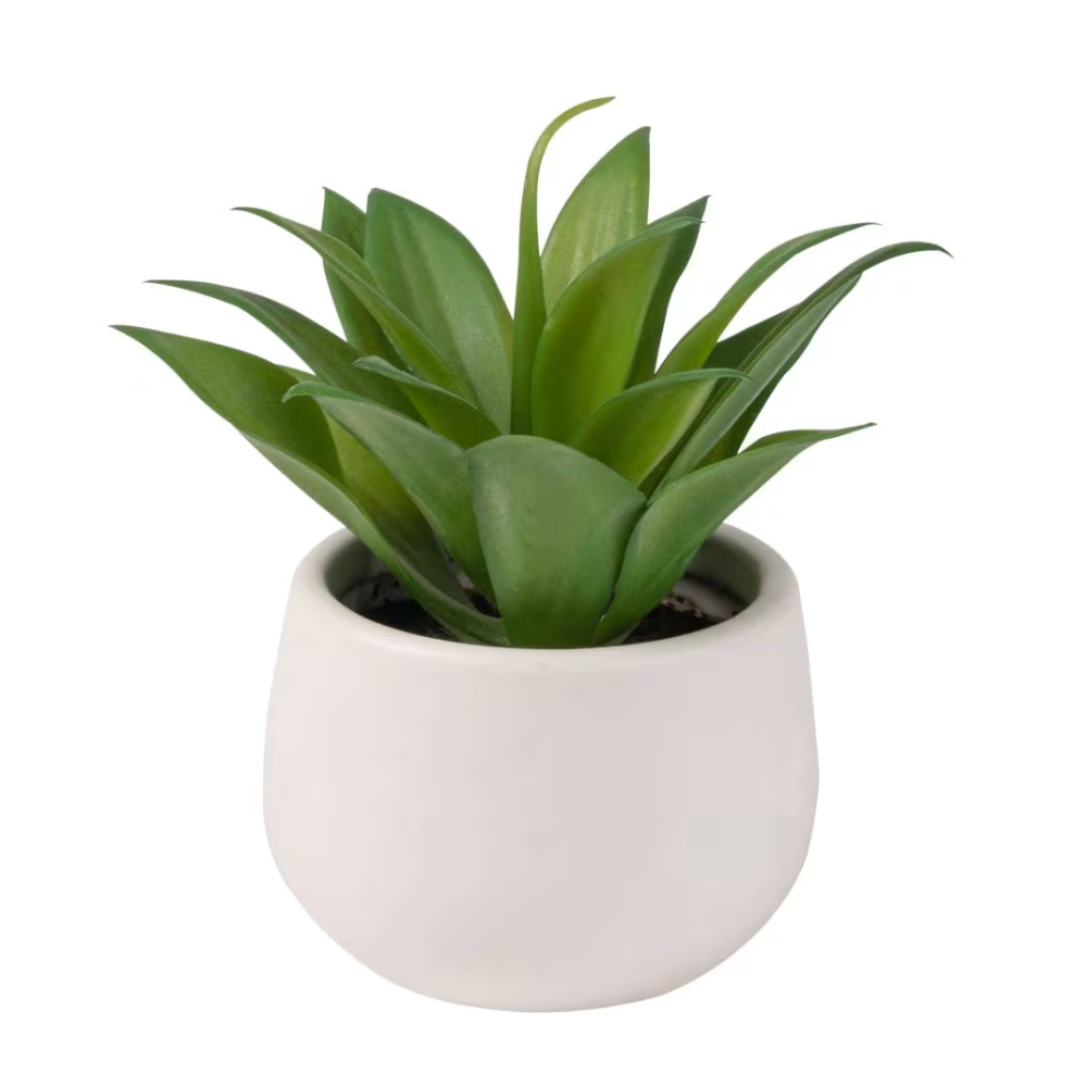 Plante artificielle Aloe Vera, pot céramique blanc
