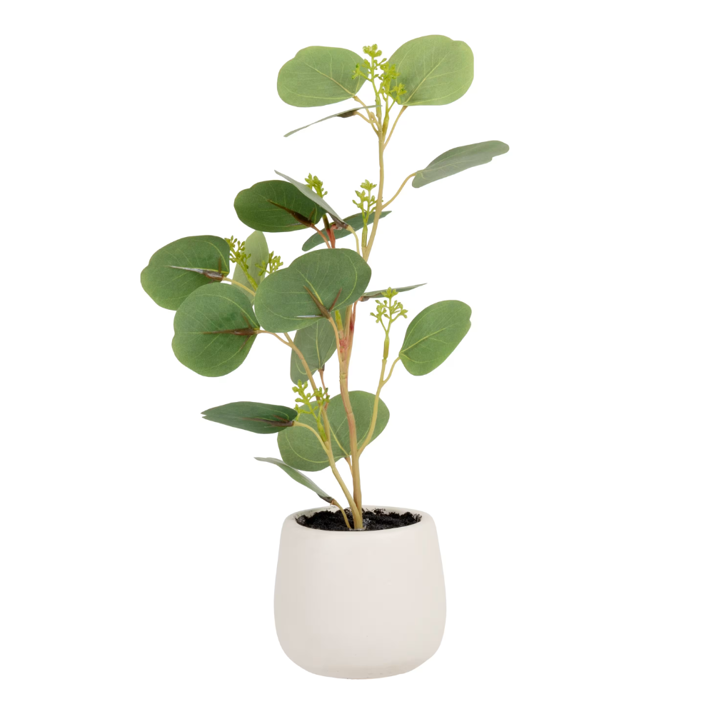 Plante artificielle eucalyptus, pot blanc
